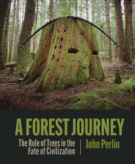 Couverture_A Forest Journey