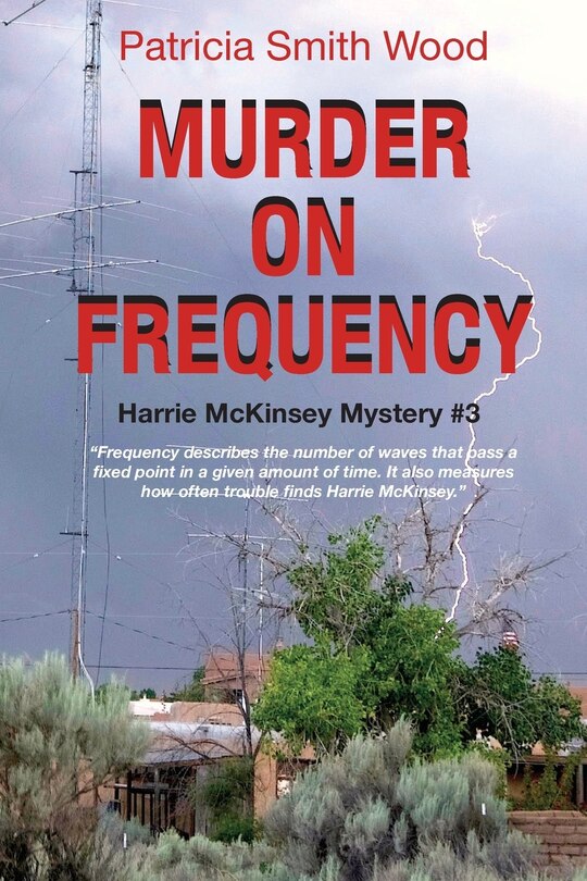 Couverture_Murder on Frequency