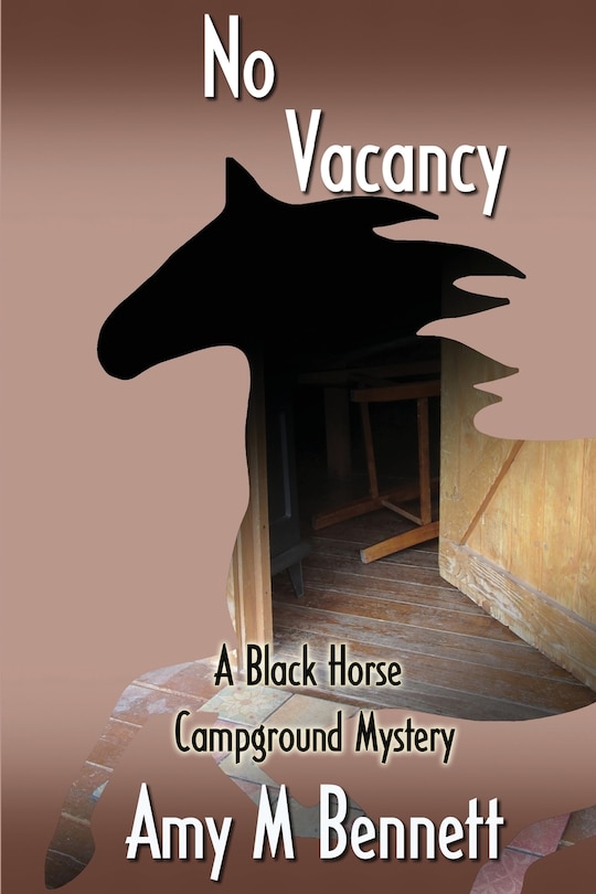 Couverture_No Vacancy