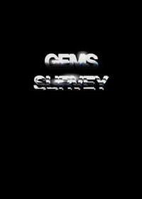 Couverture_Andro Wekua: Gems Survey