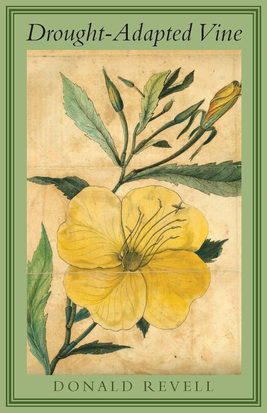 Front cover_Drought-adapted Vine