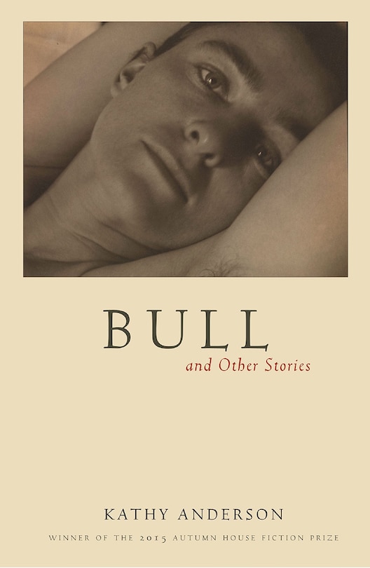 Front cover_Bull: and Other Stories