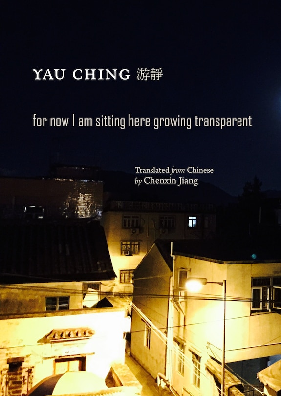 Front cover_For now I am sitting here growing transparent