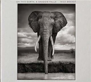 Front cover_Nick Brandt: On This Earth, A Shadow Falls