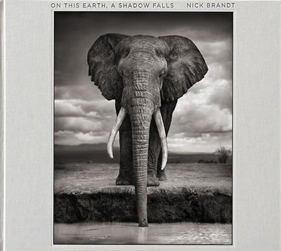 Front cover_Nick Brandt: On This Earth, A Shadow Falls