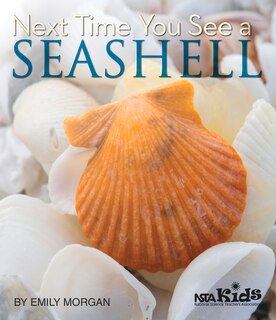 Couverture_Next Time You See A Seashell