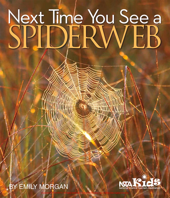 Front cover_Next Time You See A Spiderweb