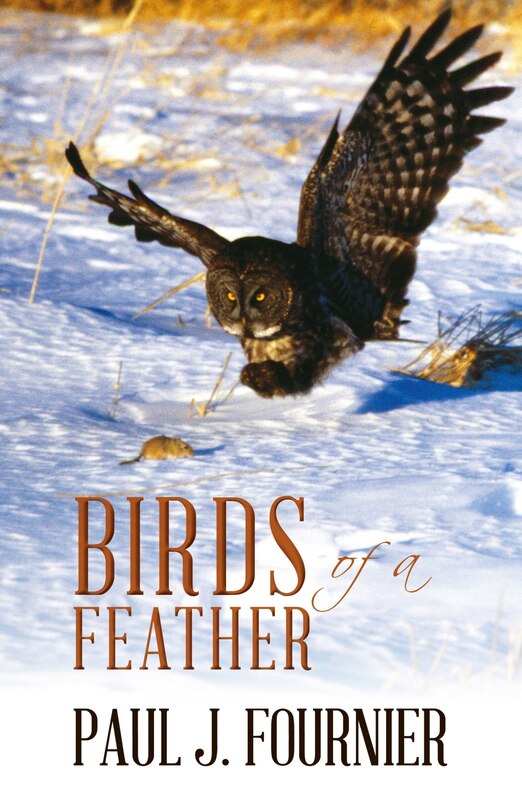Front cover_Birds of a Feather