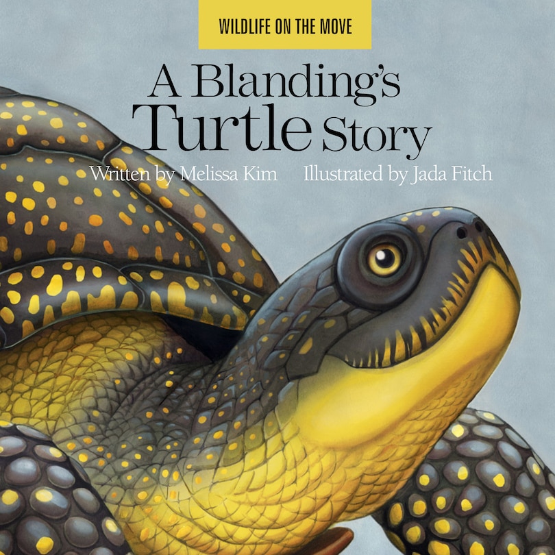 Front cover_A Blanding's Turtle Story