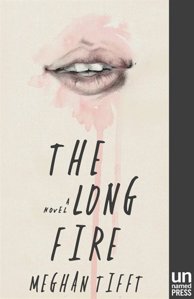 Couverture_The Long Fire