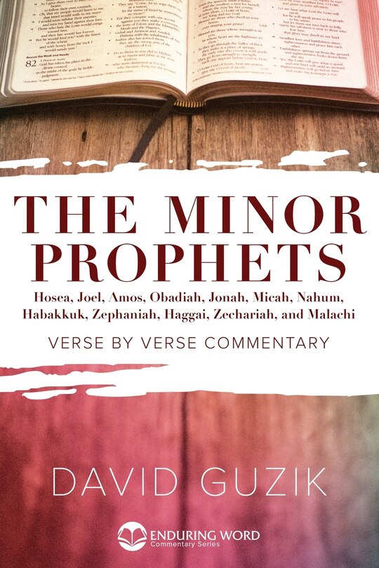 Front cover_Minor Prophets