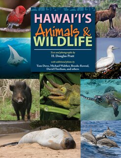 Front cover_Hawaii's Animals & Wildlife
