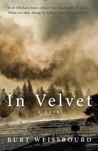 Couverture_In Velvet