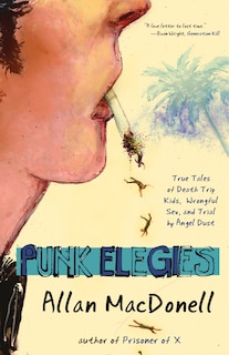 Front cover_Punk Elegies