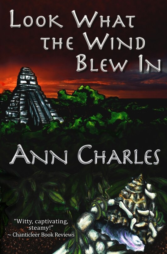 Front cover_Look What the Wind Blew In