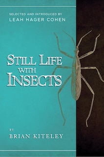 Front cover_Still Life With Insects