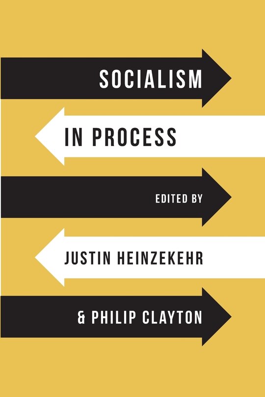 Couverture_Socialism in Process