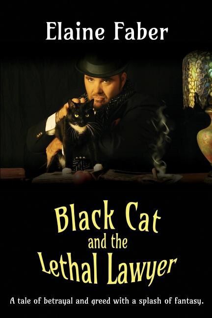 Front cover_Black Cat and the Lethal Lawyer