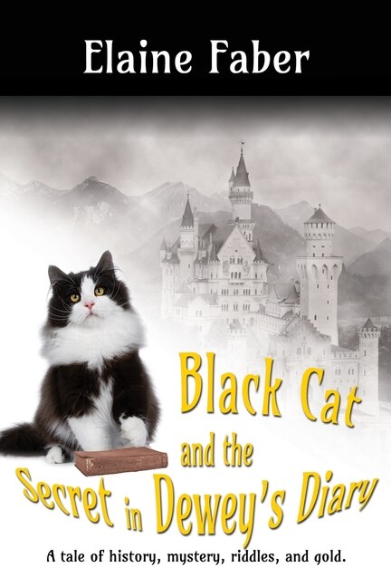 Front cover_Black Cat And The Secret In Dewey's Diary