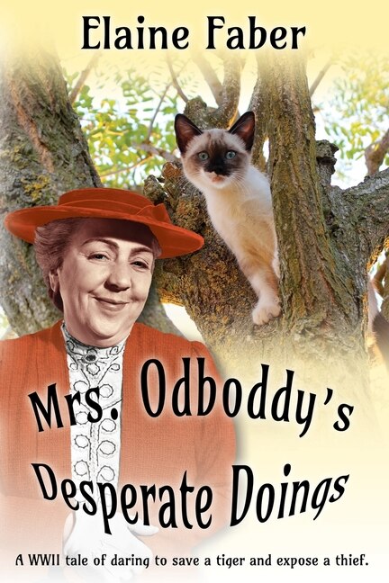 Front cover_Mrs. Odboddy's Desperate Doings