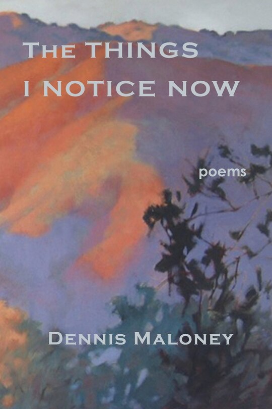 Front cover_The Things I Notice Now