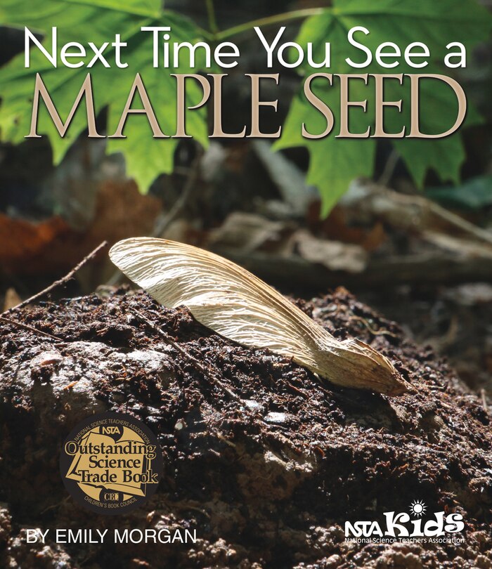 Next Time You See A Maple Seed