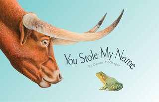 Front cover_You Stole My Name