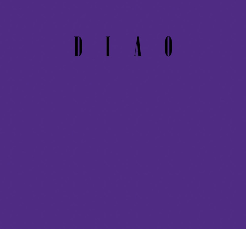 Front cover_David Diao: On Barnett Newman