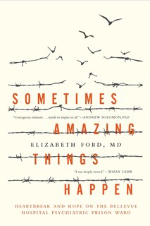 Couverture_Sometimes Amazing Things Happen