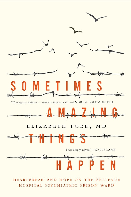 Couverture_Sometimes Amazing Things Happen