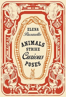 Front cover_Animals Strike Curious Poses