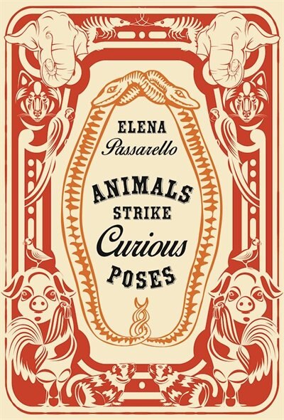 Front cover_Animals Strike Curious Poses