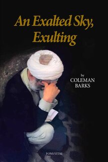 Couverture_An Exalted Sky, Exulting