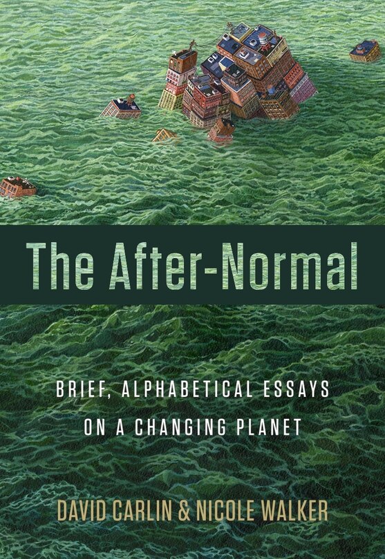 Couverture_The After-Normal