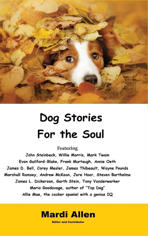 Couverture_Dog Stories for the Soul