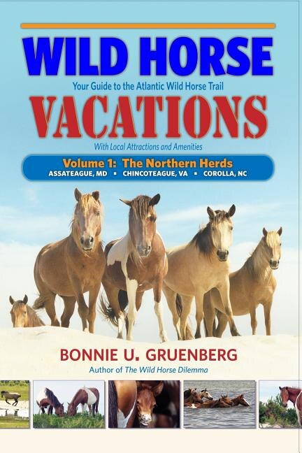 Wild Horse Vacations: Your Guide to the Atlantic Wild Horse Trail (With Local Attractions and Amenities)