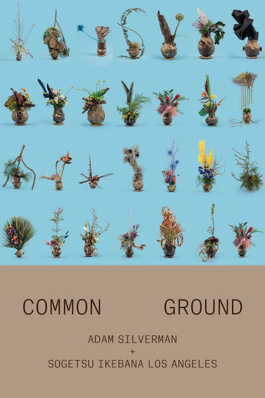 Front cover_Adam Silverman: Common Ground