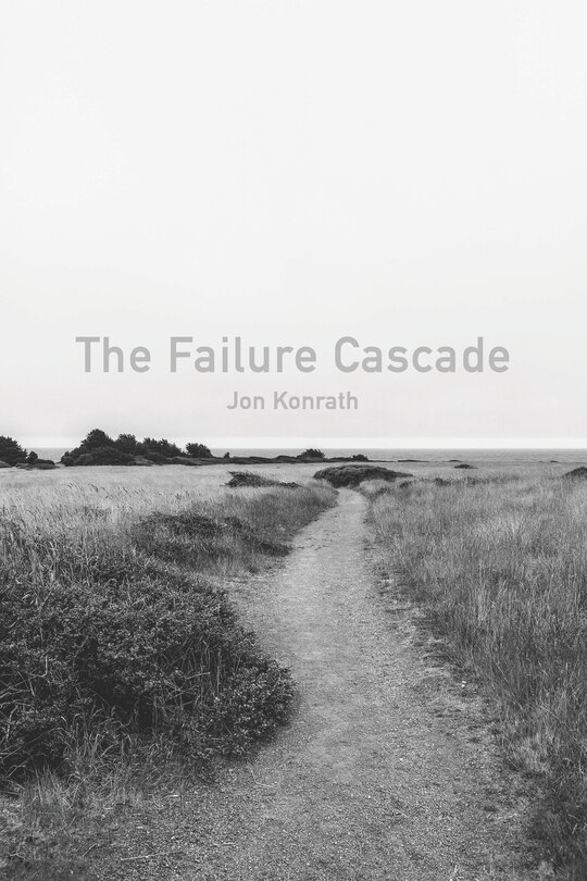 Front cover_The Failure Cascade