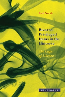 Couverture_Bizarre-privileged Items In The Universe