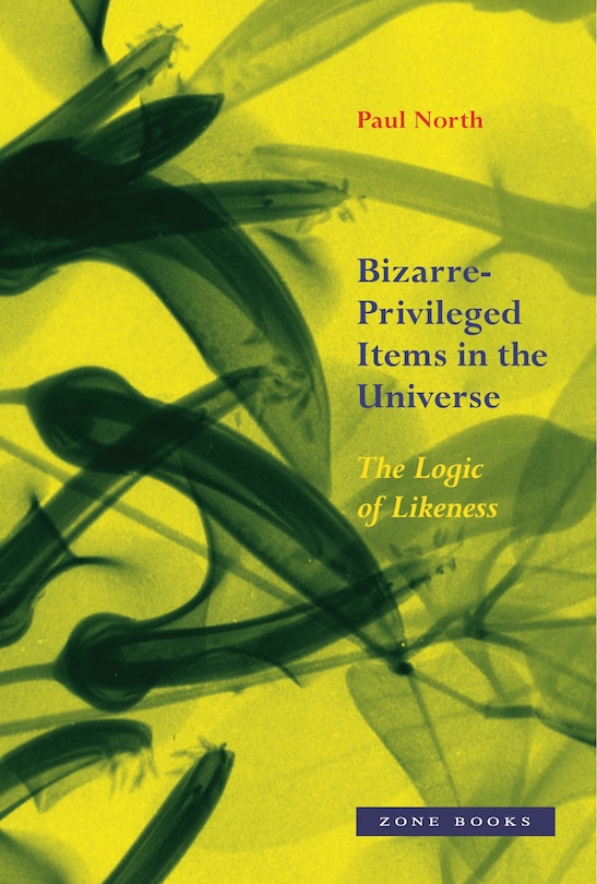 Couverture_Bizarre-privileged Items In The Universe