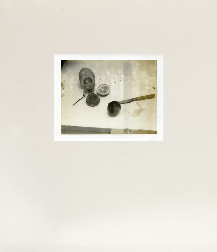 Couverture_Laura Letinsky: Time's Assignation