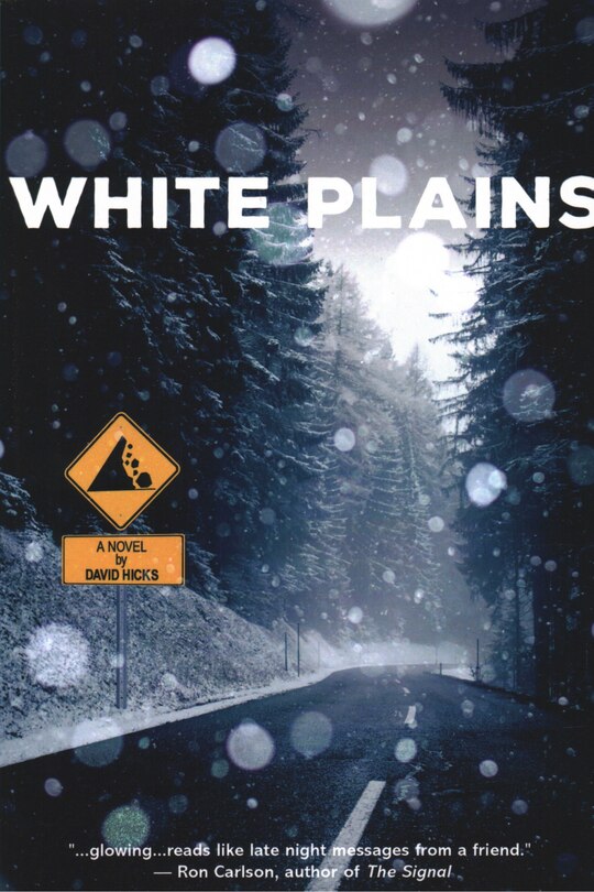 White Plains: A Novel