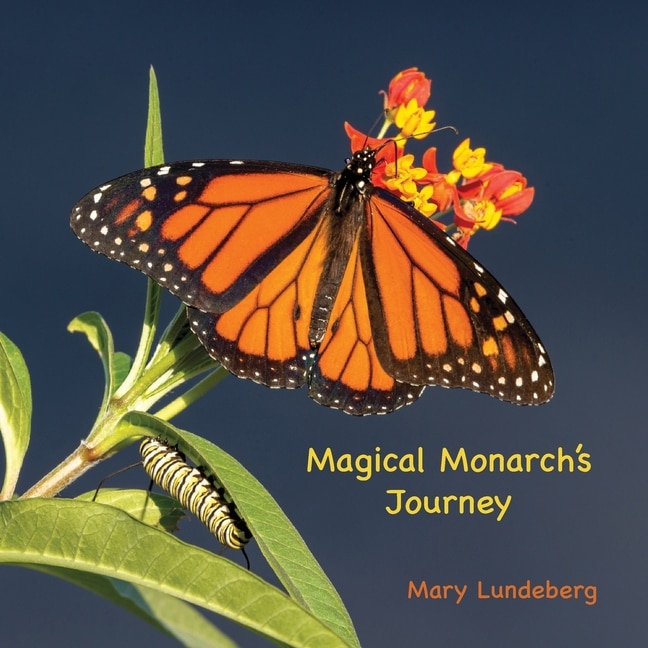 Front cover_Magical Monarch's Journey