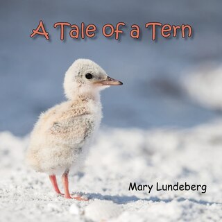 Front cover_A Tale of a Tern