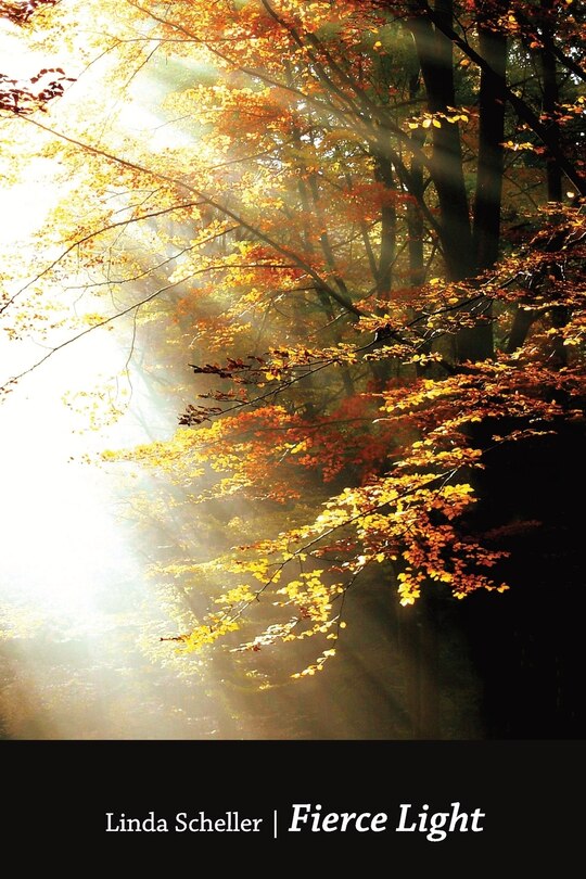 Front cover_Fierce Light
