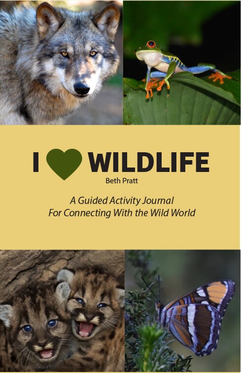 Front cover_I Heart Wildlife