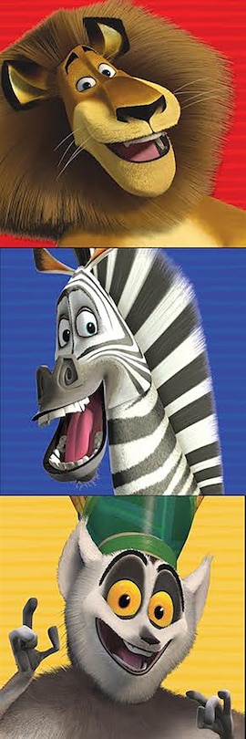 Front cover_Madagascar Awesome Animals (boxy Book Set)