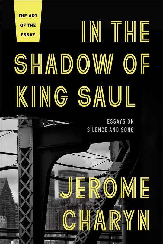 Front cover_In The Shadow Of King Saul