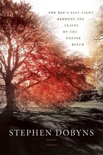 Front cover_The Day's Last Light Reddens The Leaves Of The Copper Beech
