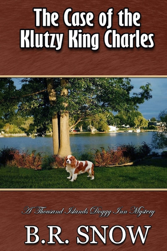 Couverture_The Case of the Klutzy King Charles
